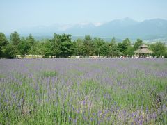 初夏の北海道旅行　２泊３日の旅　２・３日目