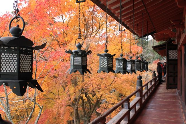 11月7日に三重県・伊勢方面、14日に兵庫県宍粟市付近に「これが年内最後かも？」と言いながらツーリング。 <br />そして今回こそおそらく年内最後になるであろうツーリング日記をお届けします♪<br />今回わたしが選んだ場所は奈良県にある『長谷寺』そして『談山神社』<br />距離も手ごろだし、なんといっても紅葉が美しいじゃないですか <br />…ってなわけで、スタート☆