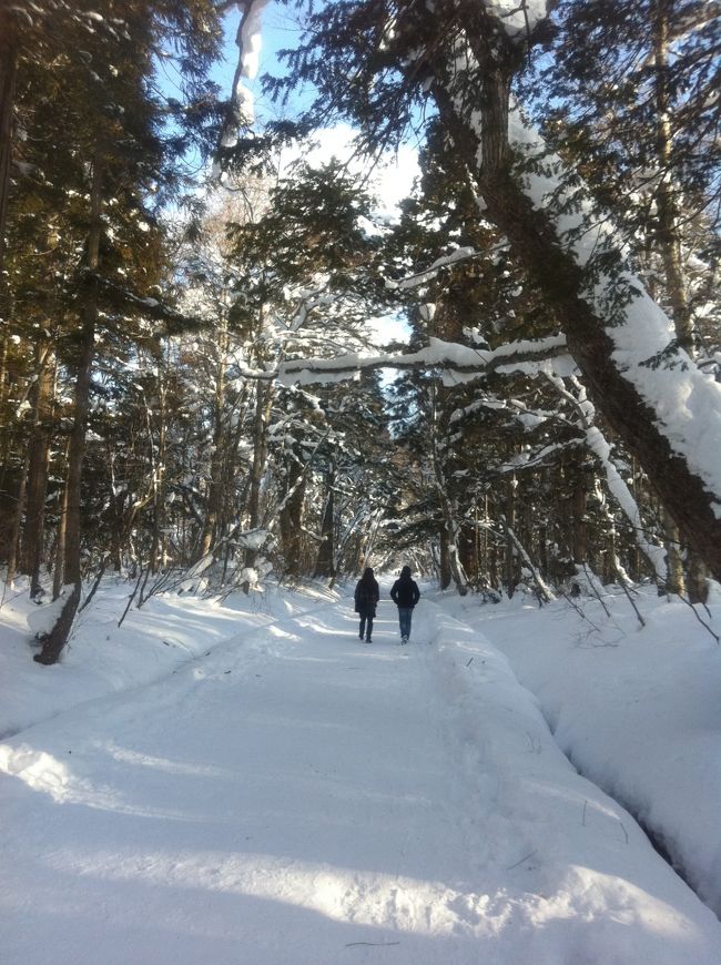 新潟の実家へ帰省した帰りに戸隠神社へ初詣に行きました。<br /><br />雪の戸隠は夏とは一味違った魅力がありました＾＾<br /><br />最近はパワースポットブームや吉永小百合さんのＣＭの効果で激混みだと聞いていましたが、雪のせいか程よい混み具合で良かったです。<br /><br />新年早々清清しい気持ちで参拝できました。