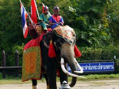 ０９．羽田空港国際線からの３泊６日バンコク旅行　サンプラン象＆ワニ園 沢山の象たちのショー