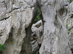 ’１１年初国内旅行　暖かい沖縄-④本島最北端と大石林山　　1月　２０１１年