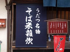 ２０１１年　初旅　阿波の国　徳島へ うだつの町並み　脇町　編