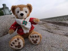 2010クリスマス&結婚5周年ディズニーシー