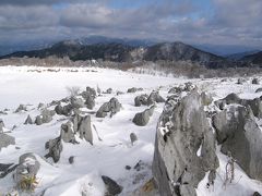 南国土佐でスノーシュー：雪の四国カルスト　天狗高原を歩く