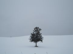 冬の富良野へ。。。④≪シーズン初スノボin富良野スキー場≫