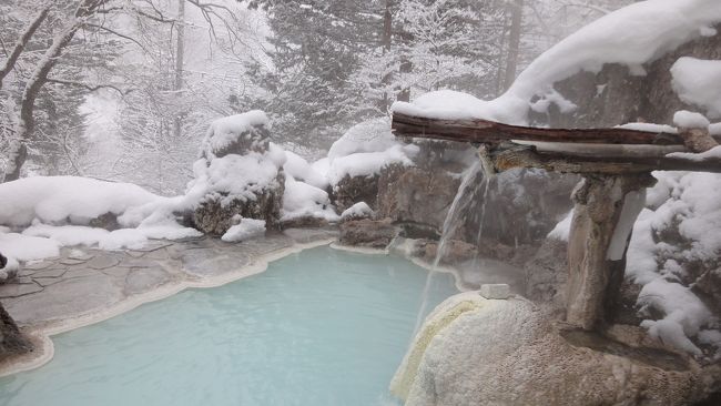 白い温泉に入りたい！<br />ということで、白骨温泉を目指します。<br />ついでに、近くの乗鞍で4年ぶりのスキーも堪能。