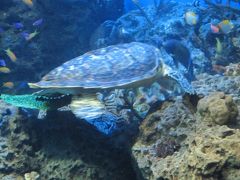 2010 大洗水族館（アクアワールド大洗）と那珂湊おさかな市場