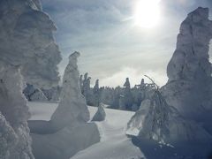 我家の年末年始大旅行　　その③　癒しは続くどこまでも・・・・・・。