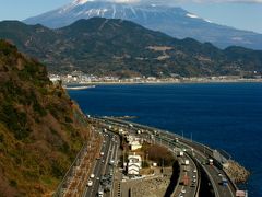 さった峠3/4　富士山と駿河湾を望む絶景の地　☆みかん園と水仙咲く道