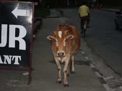 突撃ネパール！ヒマラヤは望めるか！？　一日目