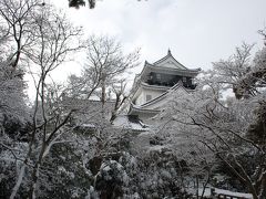 雪景色の岡崎城