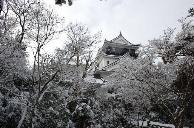 雪景色が見たくて・・「岡崎城」に行ってきました。私が住んでる地方としては、久しぶりの大雪！いつもと違う風景を楽しんできました。でもたどり着くまでが、雪の影響でどこも渋滞でたいへんでした。