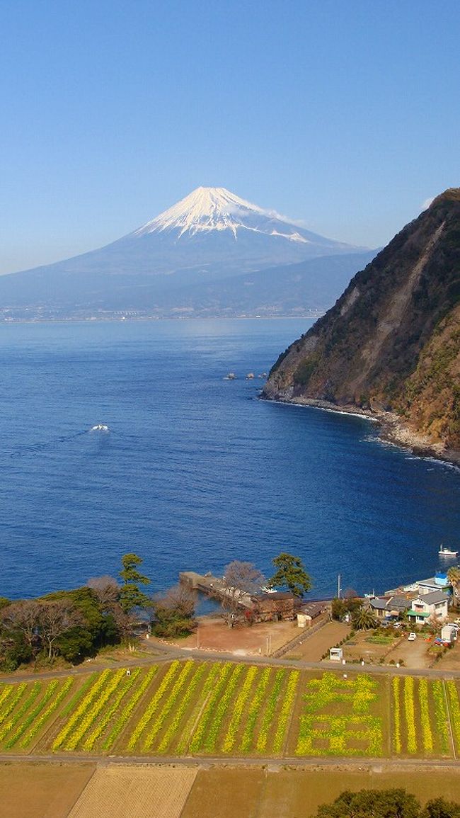 富士山のビューポイント 煌めきの丘 沼津市井田地区 戸田 静岡県 の旅行記 ブログ By Hn11さん フォートラベル