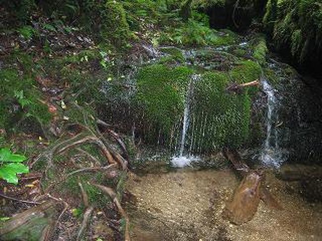 登山とシュノーケリングとチャリをしました。