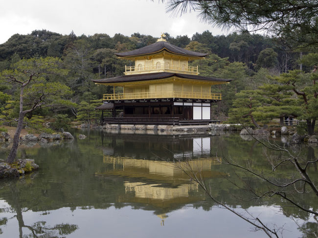 我輩、ここ３年ぐらい京都に初詣に行っている。<br />今年は、三十三間堂の大的大会をみたくて、15日・16日に訪問した。<br /><br />1日目の15日は、昨年の秋に訪問できなかった北野天満宮、平野神社、わら天神、金閣寺、龍安寺、仁和寺を散策しました。<br /><br />おみくじは、北野天満宮は吉、平野神社は末吉、わら天神は中吉、八坂神社は吉でした。<br /><br /><br /><br />