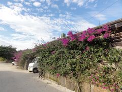 沖縄ひとり旅　～青と碧と笑いに癒される旅～　①出発、竹富島１日目編