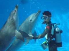 沖縄美ら海水族館のジンべエザメやマンタに感動