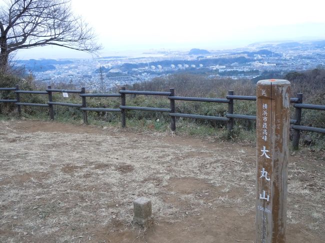 鎌倉の建長寺から瑞泉寺に至る天園ハイキングコースの天園茶屋から分岐して横浜市の最高峰「大丸山」を経て電波塔が立ち並ぶ円海山、そして根岸線の港南台に至るハイキングコースを歩きました。<br />天園ハイキングコースを建長寺や明月院から瑞泉寺や獅子舞谷まで歩いたことは幾度となくあるのですが、横浜市の円海山までのコースは今回初めて歩いてみました。<br />港南台から鎌倉までのトレイルランニング大会のボランティア・スタッフをしたことがあるので、選手がどんなコースを走ったのか視察をしてみようと思いました。<br />展望にも恵まれ、美しい樹木で、気軽に楽しめる充実したコースです。トレイルランニングで走って駆け抜けるばかりではなく、ゆっくり歩いて散策するのも楽しいコースです。