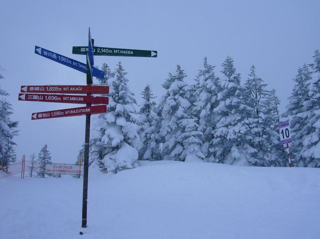 昨年に続き、２度目の苗場スキー場。<br /><br />滞在中、雪が降り続けていました。。<br /><br />雪質はとても良かったです。
