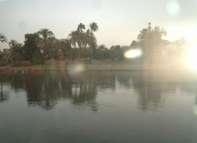 クルーズ・ラスト・ナイト～エジプト6