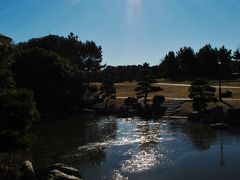 葛西臨海公園  迎春の陽ざしを浴びて　☆クリスタルビューも輝く