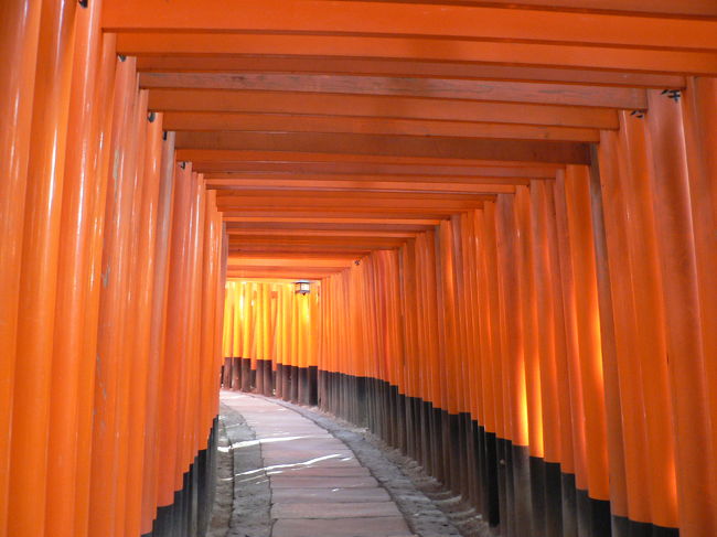 幾重にも重なる朱の鳥居・・・・・・今日はとても美しく感じて・・・・<br /><br />初めて来た時には、この鳥居が、大きな狐さんたちが、なんとも怖くてカメラを向けることができなかった。<br />何だろう、お寺や神社で写真を撮るなんて、いけないことだろうなー・・・・・・・って云う考え方のほうが強かったし。それが正しいだろうな。<br />きっと本当は簡単にカメラを向けないほうが良いのかと思いますね。<br /><br />感覚の問題だろうけど。。。。時々同じ場所でも、今日のようにどんどん撮れるときが有るような気がする。<br /><br />きっと今日はそんな不思議な日だったのだろう。驚くことに、予定していなかった、頂上？まで行ってしまいましたよ。そんな日の美しく感じた風景です。