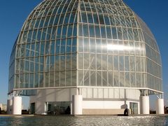 葛西臨海水族園 回遊するマグロ/ペンギン　☆産卵・飼育は世界初！