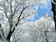 樹氷華を求めて　綿向山