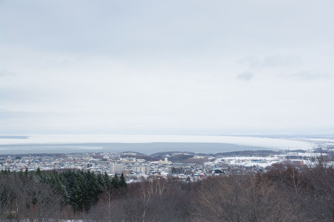 冬の北海道は魅力的です。JALのダイナミックパッケージで女満別空港利用のパックが22600円とお得なので出掛けてみることにしました。<br />流氷には早いかと思っていましたが、今年は早めに南下して来たので見ることが出来ました。<br />今回は１人でのドライブ旅行です。