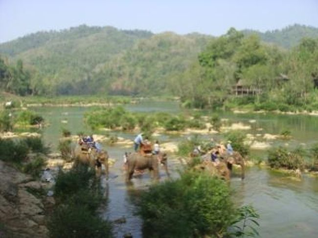 ********************************************************詳しい写真と日記の続きは↓http://sunnyweek.net/laos/index********************************************************12/31から1/3まで奇跡的に4日間の年末休暇を頂けたので、ラオス一の観光地と呼ばれるルアンパバーンに行ってきた。現地のラオ人達が乗るバスで行けば片道10時間弱で行けるのだが、貴重なお休みの半分(丸2日)を移動に費やしたくなかったので、ちょっとリッチだが飛行機で行くことにした。と言っても私たちが住んでいるところが超ド!田舎ということを忘れてはいけない。直接ルアンパバーンに飛んだ方が距離的には断然近いのに、直行便がないために一度首都ビエンチャンまで遠回りし乗り継ぎをしないと目的地には辿り着けない。長きに渡ってフランスの植民地だったラオスの中でもその面影が濃く残るルアンパバーンは、想像をはるかに超えたお洒落な町だった。緑豊かで空気も美味しく、排気ガスと土埃にまみれた私の駐在するど田舎とは月とスッポンだった。また年末ということもあるだろうが歩いているほとんどが外国人で、私が駐在している町と比べて、まるで数十年は未来にタイムスリップしたかのような印象を受けた。建物の壁や窓枠が黄色や水色、薄緑色などで、中には南仏の家々そのものと思わせる素敵なレストランやホテルもあった。私も一緒に旅行した子も、「キャー!かわい~町~ッ!住みた~いッ!」を連発してしまうくらいだった。今から30年以上前にフランスから独立しラオス人が自分たちで築き上げてきた町であるのにもかかわらず、私が暮らすラオス現代の片田舎より随分都会に感じるとは、植民地主義とは皮肉なものだと思わずにはいられない。 ルアンパバーンは、14世紀にラオス一栄えた王国を持ったが他国からの侵入を避けるため現首都ビエンチャンへ遷都、その後フランス占領下時代やラオス内戦など様々な歴史が刻まれた町だ。仏教が強く根付く寺院の数々が、ラオス風のオレンジの屋根の家々の中に散在する姿を高く聳え立つプーシー寺から見下ろすと、どこか物哀しい気分にさせられた。この町の持つ重みと美しさを考えると、1995年に町自体が世界遺産に登録されたのも頷ける。 町を散策していて素敵だと思ったのが、ウェイター・ウェイトレスはもちろんのこと経営者のほとんどがラオ人だったこと。フランス人らが上手に手を引いたのか若しくは裏で操っているのかは分からないが、今はラオ人たちが自分たちでこの町を作っているんだ、というのがヒシヒシと伝わってきて少し感動した。そんな世界遺産の町中で我々が泊まったのは1人1泊800円の超安宿。確かに物価が安い東南アジアではあるが、こんなに安い宿に泊まったのは高校時代のバックパッカー旅行を入れても人生初だ。NGO職員なのでこれくらい我慢②。記念すべき年越しだろうが2011年の幕開けだろうが、悪臭漂う部屋でも我慢②。 ルアンパバーン旅行の目玉は4つ。 ① 不吉!? カウントダウンの直後に火事! ② 憧れの、象に乗りながら森林浴 ③ 早朝からイケメンのお坊さん探し放題 ④ 悪魔のナイトマーケット 31日の大晦日の夜、人々がカウントダウンに集まる広場へ行こうとゲストハウスを出た瞬間、不気味なくらいオレンジ色に明るく光が無数も空に散らばっている光景を見た。星でもなく飛行機でもなく。何が起きたのか分からない私たちは目的地であった広場に着いた途端その怪奇現象の正体がわかった。人々が、円柱状になった大きな和紙の中に油が塗られてあるスポンジのようなものに火を灯し、そこら中で小気球を飛ばすかのように空に打ち上げていたのだ。 それはカウントダウン直前まで続き、夜空を見上げると20,30個のオレンジ色の光の群れが果てしなく高く飛んでいき、すごく神秘的だった。私たちも記念にと、観光客用に複数あった和紙屋さんの屋台で購入してみたが、2人だけでは和紙を支えながら火をつけるのが困難なため近くのイタリア人らに手伝ってもらった。仮設舞台で大勢のラオ人がラオ語で「・・サーム、ソーン、ヌーン!」とカウントダウンし(ラオ語を勉強中の私は3の数になってようやく今年があと3秒というのが理解できたのだが(笑))、地元のラオ人と観光客で100人以上はいたその場は更に大騒ぎになった。 2011年を迎えた直後、火を灯してもらったら既に和紙に油がついてしまっていたのか、ぼぉっといきなり炎が立ち、辺りは一瞬その火事を消すのに騒然となった。私も友達も恐怖でその場に立ちすくんでいたが、周りのお祭り騒ぎの空気に流され大笑いしながら再度トライすることになった。燃え上がった炎が脳裏にあり怖かったが恐る恐る、今度は2人で口を揃えて“現在立ち上げている新事業”の成功を祈り、その願いを乗せた灯が空にふわふわ浮かび上がっていくのを見守った。 象。ラオス赴任で初めて東南アジアに足を踏み入れる私にとって、東南アジアと行ったら“象にまたがれる!”というイメージがあった。タンザニアに住んで4度のサファリを経験し、池でどろんこ遊びする赤ちゃん象をまつ毛や皺まで観察しその可愛さに感動したことや、ウォーキングサファリの最中、すぐ目の前をのそのそ通る象の集団に気付かれぬよう地面に伏せたことや、ライオンより強いと言われる象の群れの争いを見てその恐ろしさを知ったことなどで、私はいつの間にか象が大好きになっていたのだ。駐在している田舎町ではいつ象に乗れるか分からないので、2000円で2時間乗り放題の格安ツアーを見つけられたので参加することにした。 象に乗ると言っても、ちゃんとラオ人の象使いのお兄ちゃんが耳の上に乗りながら操り、私たちは象の背中に括りつけてある椅子の上に座るというものだが、途中その耳の上に乗せてもらって象さんがのらりくらり歩いてくれたときは、これまで乗ったジェットコースターで一番エキサイティングだと思った。だって上り坂や下り坂はどちらも落ちそうになるくらい角度が急になるのだから。 最高なのは、太陽の光が木々の間から降り注ぐ森林の中や、象さんの足はもちろん、自分の足が濡れるギリギリのところまで水深のある川の中を歩いたりと、2時間たっぷりラオスの大自然を味わえたこと。大満足の元旦を過ごせた。昨年末、タンザニア・ヴィクトリア湖の漁村に滞在し、現地の漁師さんと一緒にボートに乗って過ごしたことがもう随分前のように思える。果たして来年私は世界のどの辺りで新年を迎えるのだろうか。 山裾に落ちる2010年最後の夕陽をメコン川沿いに拝む。 ラオスに駐在する私の詳しい写真記は、http://sunnyweek.net