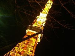 東京夜景　東京タワー