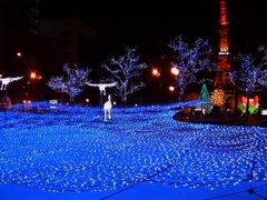 ♪　札幌・小樽　（１０）　札幌のイルミネーション