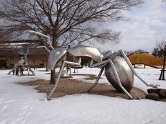 雪化粧の弓ヶ浜公園