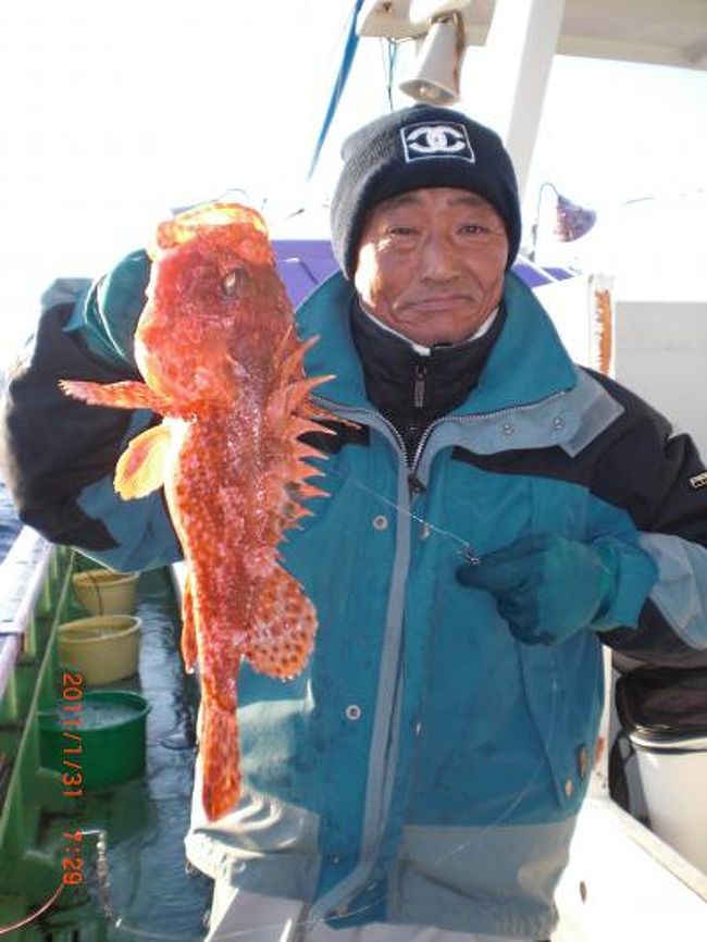 オニカサゴ・ヤリイカに出船中<br />真冬の釣物ですが<br />刺身で良し<br />しゃぶしゃぶで良し<br />鍋で良し<br />釣師の喜ぶ顔が励みです<br />出船時増殖中