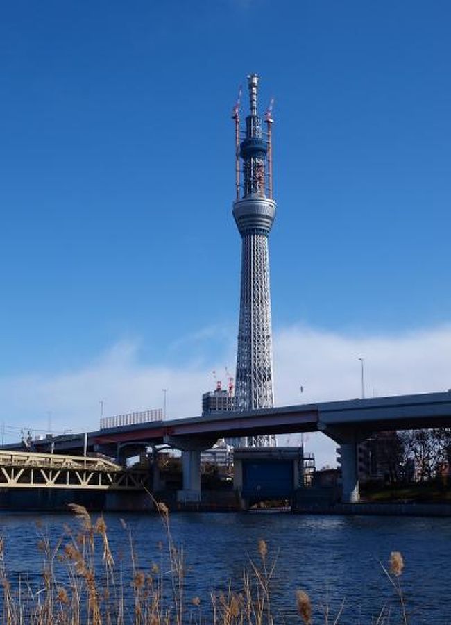 墨田公園から 工事中のスカイツリーを 向島付近からも 浅草 東京 の旅行記 ブログ By 義臣さん フォートラベル 墨田公園から 工事中のスカイツリーを 向島付近からも 浅草 東京 の旅行記 ブログ By 義臣さん フォートラベル