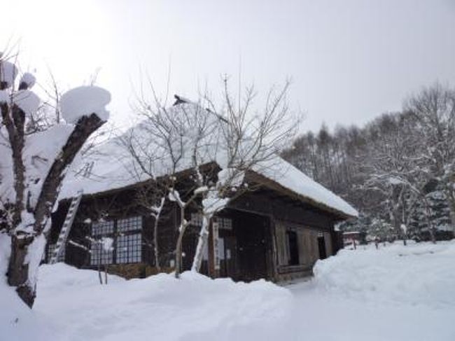 1月30日（日）午前<br /><br />伴久ホテルからシャトルバスで湯西川温泉かまくら会場へ。<br />昨夜見た河原のミニかまくらキャンドルライトの会場へ歩く。<br />夜景とは違い、ミニかまくらが整然と並び、周囲の美しいまっ白い山々と相まって、見ごたえがある。<br />かまくら会場の前が、平家落人の里。<br />平家落人の里を見学。<br />深い雪の中を歩き、昔の家を眺める。<br />深雪と古い家。<br />まるで、江戸時代にでもタイムスリップしたかのよう。<br />