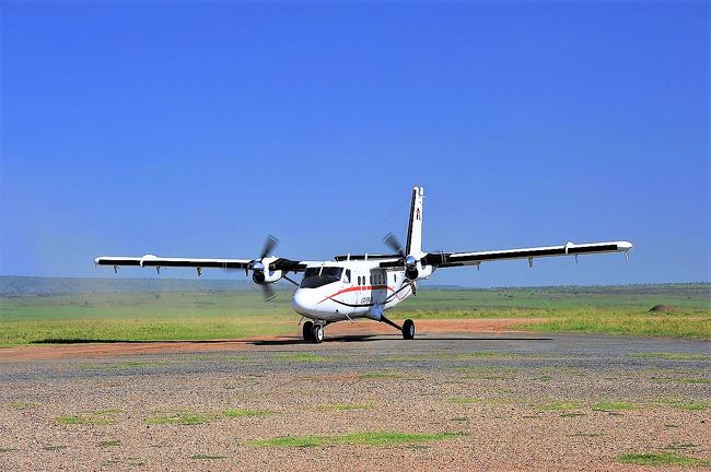 ナイロビに戻る飛行機は10時15分発です。<br />朝のサファリから戻るのは9時ごろだったので、朝が忙しないかと思い朝のサファリをキャンセルするつもりでした。<br />でも不思議に5時半には目が開くのです。<br />せっかくなので行く事にしました。<br /><br />皆さんよく最終日には帰りたくないとか書いてらっしゃいますが<br />その気持ち分かります。<br />そしてアフリカのリピーターになるのも分かります。<br />私たちも又ここに戻りたい・・・・<br /><br />ナイロビではガイドさんが迎えに来てくれジラーフセンターに行きました。<br />到着日にとも思ったのですがモルディブに行く飛行機が夜だったので時間がありこの日にしました。<br />すっごく楽しかったです。<br /><br />ナイロビからドーハまで4時間半<br />ドーハからマレーまでも4時間半程の移動でした。<br /><br />ところで・・・<br />宿泊を申し込むとドクターヘリの保険なるものがあります。<br />万が一の急病や怪我に備えてここでは治療が出来ないのでナイロビまでセスナ機で飛ぶのです。<br />わずかなのでもちろん加入しました。<br />マサイマラにはドクターセスナ機が駐機していました。<br />10泊12日の旅です。<br />NO.1   https://4travel.jp/travelogue/10540762<br />NO.2　https://4travel.jp/travelogue/10541133<br />NO.3　https://4travel.jp/travelogue/10541265<br />NO.4   https://4travel.jp/travelogue/10541361<br />NO.5   https://4travel.jp/travelogue/10541623<br />NO.6   https://4travel.jp/travelogue/10541757<br />NO.7   https://4travel.jp/travelogue/10541978<br />NO.8   https://4travel.jp/travelogue/10542162<br />NO.9   https://4travel.jp/travelogue/10542340<br />NO.10 https://4travel.jp/travelogue/10542644<br />NO.11 https://4travel.jp/travelogue/10542785<br />NO.12 https://4travel.jp/travelogue/10542788<br />NO.13 https://4travel.jp/travelogue/10543032<br />NO.14 https://4travel.jp/travelogue/10543037<br />NO.15 https://ssl.4travel.jp/tcs/t/editalbum/edit/10543042/