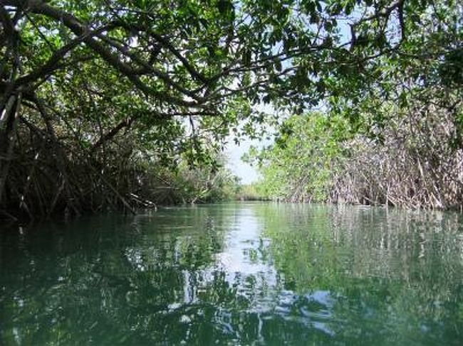 世界自然遺産のシアンカーンに行って来ました♪<br /><br /><br />300種以上の野鳥と800種以上の植物が生息するメキシコを代表する広大な自然保護区。<br /><br />遺跡・ジャングル散策・河下りなど<br />大自然を肌に感じることができましたよ☆<br />