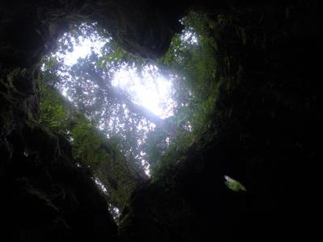 10年7月5回目の屋久島 ハートの下で ウィルソン株のハート 屋久島 鹿児島県 の旅行記 ブログ By Murenekoさん フォートラベル