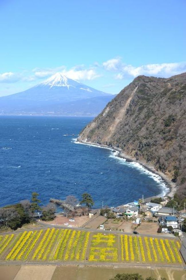 西伊豆を富士を見ながら北上ドライブ 煌めきの丘 沼津 静岡県 の旅行記 ブログ By てんとう虫さん フォートラベル