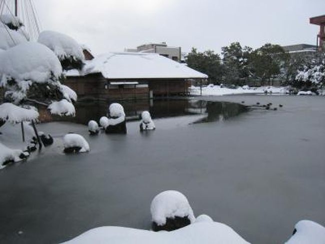 冬の福井を散策してみた 福井市 福井県 の旅行記 ブログ By ヌールッディーンさん フォートラベル