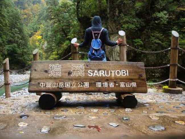 有給休暇を使った夏休みもこの日で最後<br />最終日は富山のトロッコ列車に乗ることと、石川の２１世紀美術館に行くコースです<br /><br />前日記<br />「富山一人旅/金太郎温泉でいい湯だな」<br />http://4travel.jp/traveler/musicphotoseasky/album/10543624/<br /><br />まずはトロッコ列車に乗って欅平に行きました<br /><br />窓のない車両に乗ったので、雨と風が冷たかったですが、なかなかいい景色を眺められました^^<br /><br />欅平では散策をして、猿飛まで行きました<br />観光客は多かったですが１人でも大丈夫です!!<br /><br />