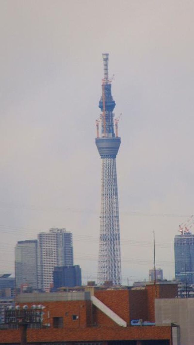 日本一の大観覧車から見たスカイツリー 葛西 東京 の旅行記 ブログ By Hn11さん フォートラベル