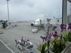 ２月１日～３日　八重山（11）  JL908便　沖縄・那覇→東京・羽田　搭乗記