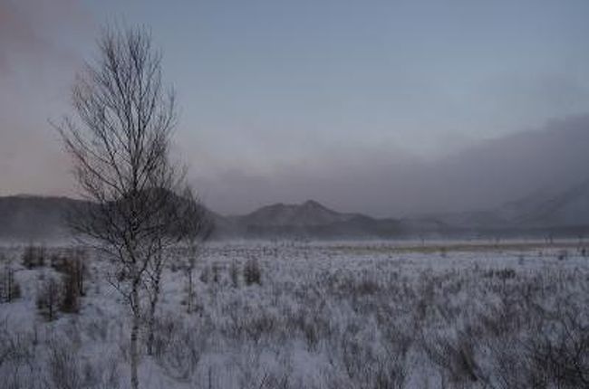 戦場ヶ原の冬景色 日光 栃木県 の旅行記 ブログ By Wataru Wrcさん フォートラベル