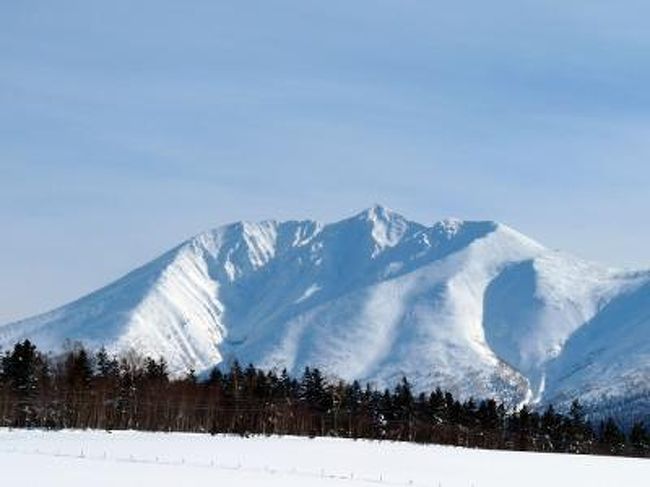 ご機嫌なお天気の日に<br />ど〜ん！と現れる、美しい山並みの十勝岳連峰。<br /><br />噴煙を上げる十勝岳から<br />左側に<br />美瑛岳、美瑛富士、石垣山、ベベツ岳…<br /><br />そして、左端の、変わった形をした山が…<br /><br />そうです！　ワタシの大好きな<br /><br />オプタテシケ山　(2011m)<br /><br />丘から山が、くっきり、ハッキリ、見えた日は<br />「オプちゃん」の追っかけだ〜！<br /><br />角度によって、いろんな顔に見えるオプちゃんを<br />アップで見たり、丘越しに眺めたり…<br /><br />今回、最終日にようやく姿を現してくれた<br />オプタテシケの特集です。