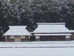 伊勢神宮神田に降る雪。