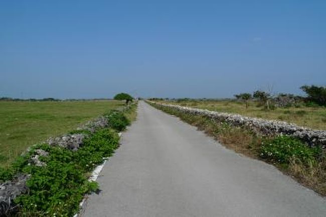 普段は海より山、南より北派の私ですが、急に思い立って初めての八重山一人旅に行ってきましたー<br />幸運にも二月には珍しい位お天気に恵まれ、ビーチでのんびり…<br />すっかりハマってしまいそうです(笑)<br /><br />初日は黒島でのんびり。