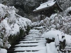 The 船宿寺～雪景色～