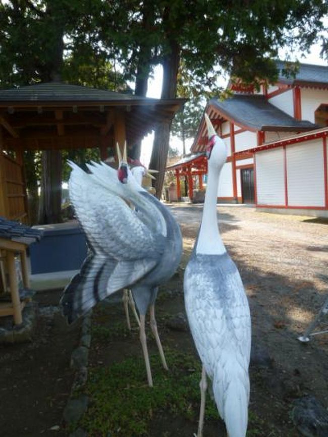 明暗ハッキリと分かれました。<br />出水のツルマラソンは鳥インフルエンザの影響で中止です。<br />先月　鹿児島に住んでいて、出水を何回か訪れていましたが、<br />実は　初めて　鶴を見に行きました。<br />　鶴がどうのこうのという感想はないのですが、<br />この地に　あれだけ多くの鶴がいるという現実に<br />ただただ　感動しました。<br />　しかし　数日後　最悪の鳥インフルエンザが見つかり<br />悪夢のようです。<br /><br />・・・NNN<br />「なんだ　なんだ　ちみ達のその変な目は・？・」<br />　「誤解だ・・私が鳥インフルを持って行ったのではない・・」<br />「野鳥だろ・・ブチョウじゃないぞ・・・」<br /><br />　早い終息を願います・・・懲りずに　鳥さん　また　来てください<br />　　　　お待ちしています・・・<br /><br />一方　　　<br />こちらは先月のことですが、<br />毎年参加人数が増え　2万人以上が参加するようになった<br />指宿菜の花マラソン・・<br />今回兄弟で参加・・弟はフル・私は１０ｋ<br /><br />　地域の人のおもてなしＮＯ１の大会です。<br /><br />　ＲＵＮ・・ＲＵＮ・・楽しいよ・・・<br /><br />　　では　　ヨーイ　スタート・・<br /><br />　